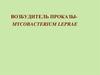 Возбудитель проказы - Mycobacterium  Leprae