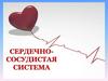 Учения о сердечно-сосудистой системе