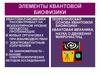 Элементы квантовой биофизики