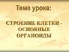 Строение клетки - основные органоиды