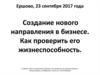 Создание нового направления в бизнесе. Как проверить его жизнеспособность