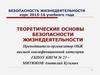 Теоретические основы безопасности жизнедеятельности