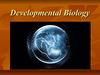 Developmental Biology