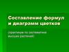 Составление формул и диаграмм цветков