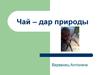 Чай - дар природы