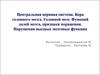 Центральная нервная система. Кора головного мозга. Головной мозг. Функций долей мозга, признаки поражения