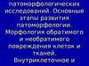 Предмет и задачи патоморфологии. Методы патоморфологических исследований. Основные этапы развития патоморфологии