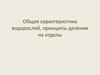 Характеристика водорослей, принципы деления на отделы