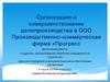 Документоведение и документационное обеспечение управления. Структура ООО ПКФ «Прогресс»