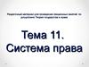 Система права. (Тема 11)
