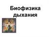Биофизика дыхания. Объемы и емкости легких