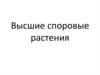 Высшие споровые растения