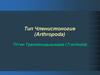 Тип Членистоногие (Arthropoda). Многоножки