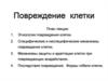 Повреждение клетки. Механизмы адаптации клеток к повреждению