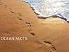 ocean facts