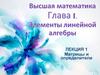 Высшая математика. Глава 1. Элементы линейной алгебры. Матрицы и определители