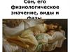 Сон, его физиологическое значение, виды и фазы