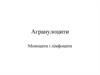 Агранулоцити. Моноцити і лімфоцити