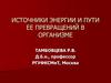 Источники энергии и пути ее превращений в организме