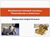 Физиология половой системы. Размножение у животных