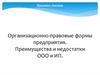 Бизнес-актив. Организационно-правовые формы предприятия. Преимущества и недостатки ООО и ИП