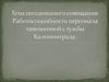 Работоспособность персонала таможенной службы Калининграда