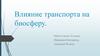 Влияние транспорта на биосферу