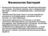Физиология бактерий