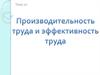 Производительность труда и эффективность труда