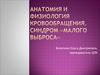 Анатомия и физиология кровообращения. Синдром «малого выброса»