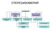 Стереоизомерия. Изомерия. Пространственная (стереоизомерия) углеродного скелета