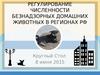 Регулирование численности безнадзорных домашних животных в регионах РФ