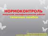 Нормоконтроль выпускной квалификационной работы: типичные ошибки