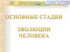 Основные эволюционные стадии развития человека