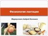 Физиология лактации