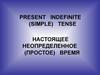 Present indefinite (simple) tense