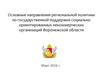 Направления по государственной поддержке СОНКО Воронежской области