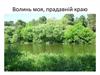 Волинь моя, прадавній краю. Урок – зустріч з волинською поетесою Валентиною Лисюк
