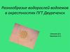 Разнообразие водорослей водоемов в окрестностях ПГТ Двуреченск