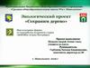Экологический проект «Сохраним дерево»