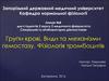 Групи крові. Види та механізми гемостазу. Фізіологія тромбоцитів