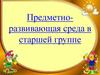 Предметно-развивающая среда в старшей группе
