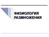 Физиология размножения