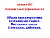 Основы электрофизиологии. Общая характеристика возбудимых тканей. Потенциал покоя. Потенциал действия