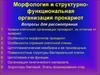 Морфология и структурно-функциональная организация прокариот