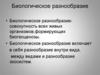 Биологическое разнообразие