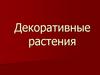 Декоративные растения