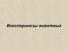 Изоспоринозы животных