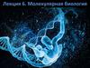 Молекулярная биология
