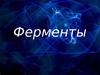 Наука о ферментах